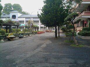 IMAG0269.jpg