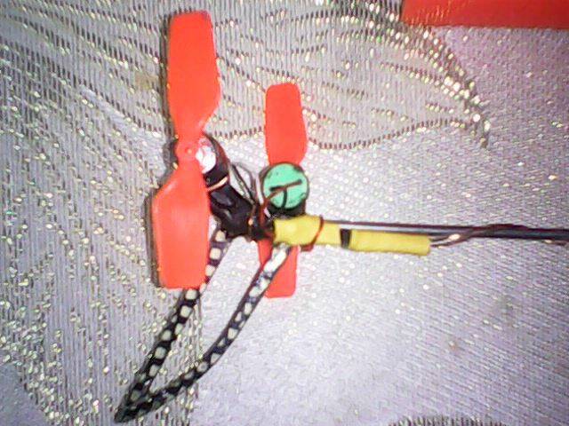 IMG0075A.jpg