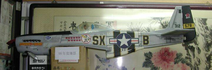 P51.jpg