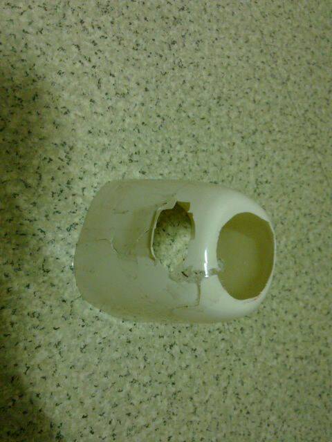 20111226153.jpg