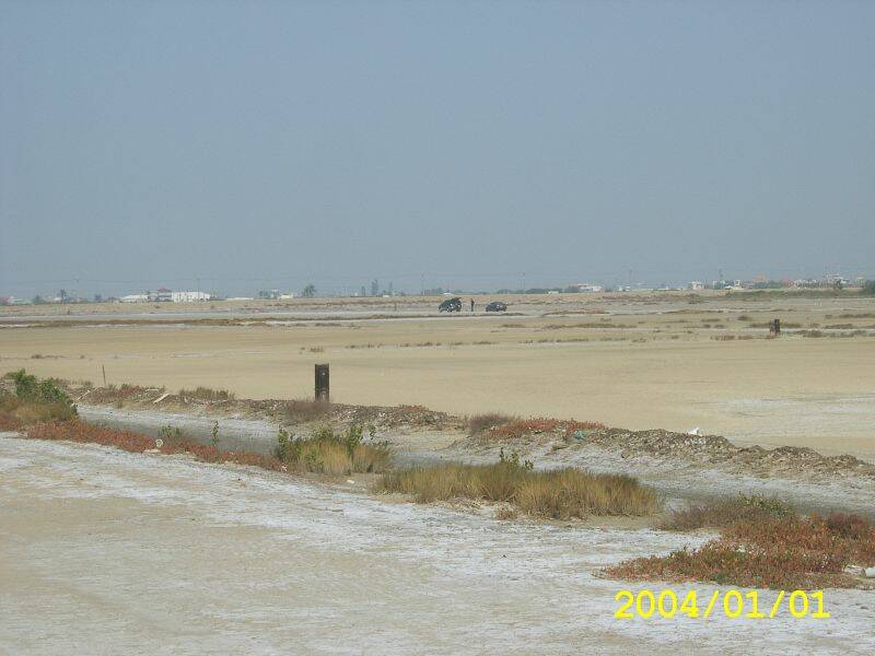 SA500125.JPG