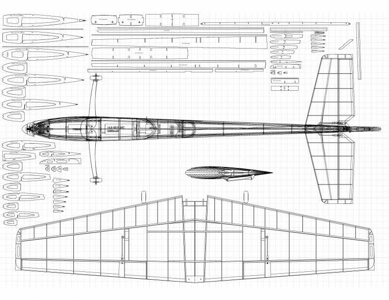 F3A NiceShot Wing.JPG