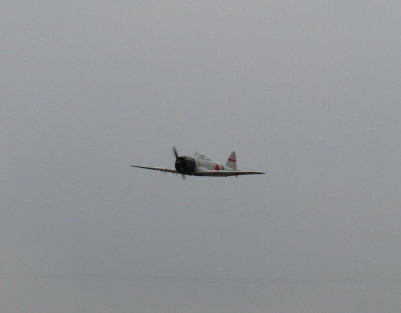 P1010272.jpg