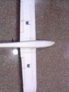IMG1612A.jpg