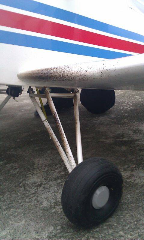 IMAG0060.jpg