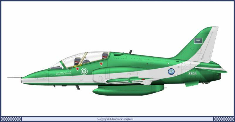 Hawk_Saudi_2.jpg