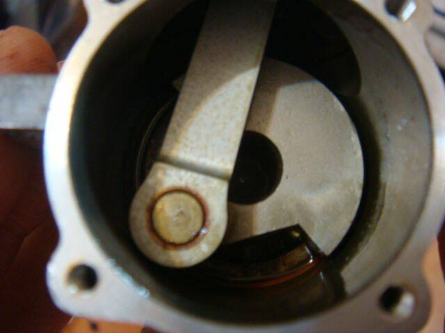 DSC05350.JPG