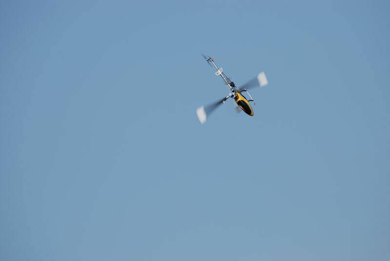 DSC_1473.JPG