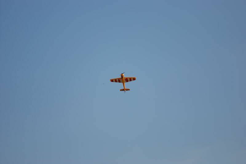 DSC_1521.JPG