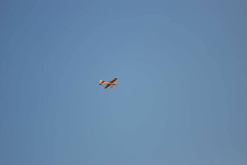 DSC_1519.JPG