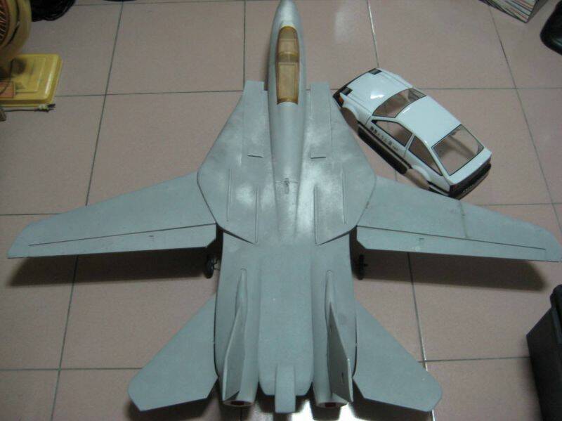 f14.jpg