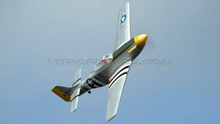 P5101.jpg