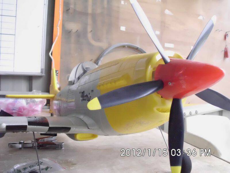 P51A01.jpg