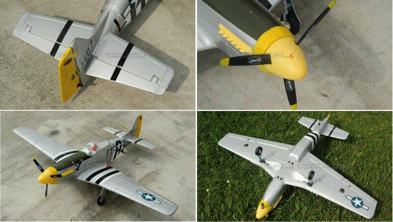 P5106&9.jpg