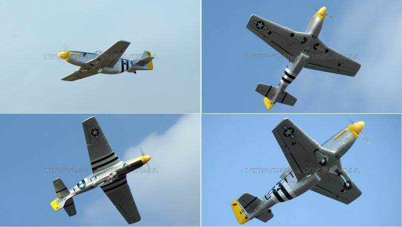P5102&5.jpg