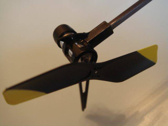 DSC07528.JPG