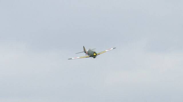 _DSC5601.jpg