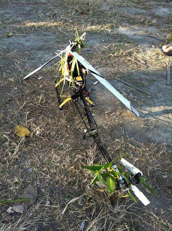 直接吃土...滿嘴都草