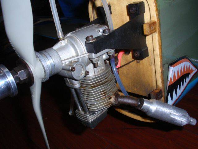 P1290186.JPG