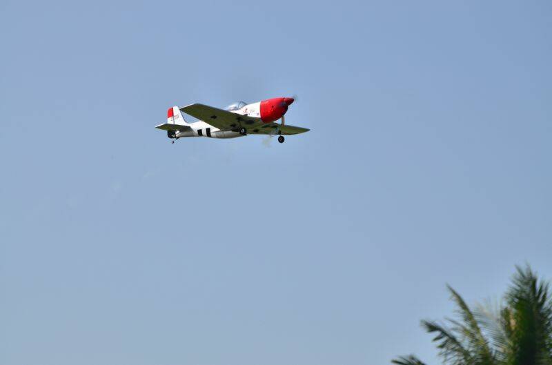 2012-01-29-p51_006.JPG