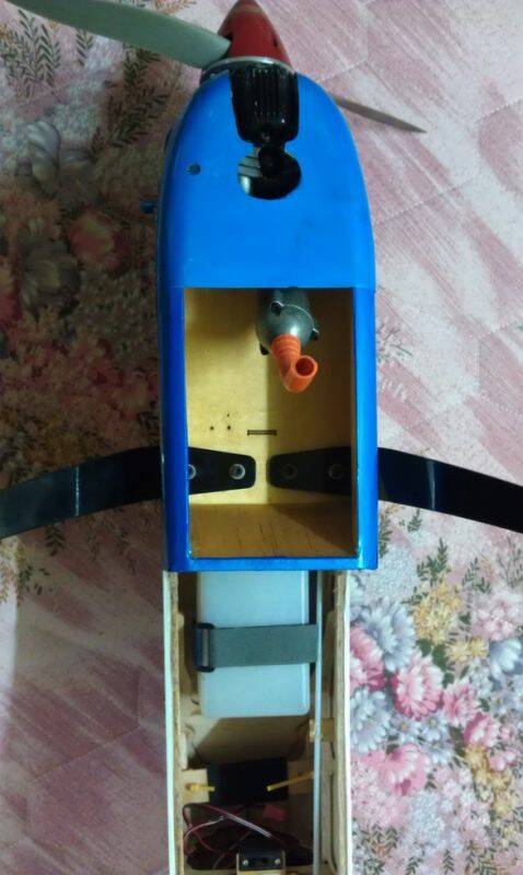 IMAG0050.jpg