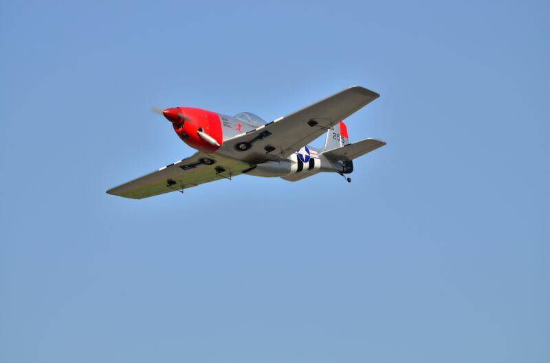 2012-01-29-p51_002.JPG