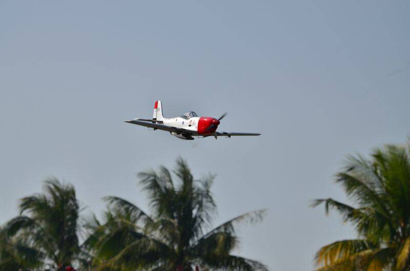 2012-01-29-p51_003.JPG