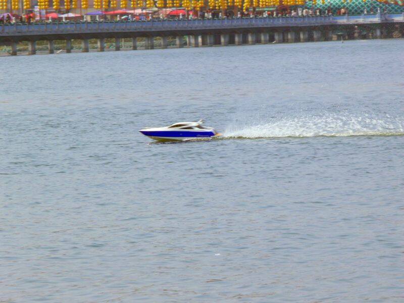 p1000361x.jpg
