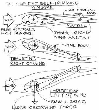 Simplewing.jpg
