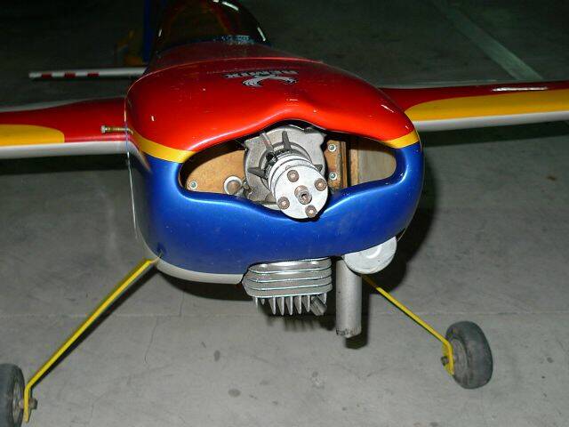 P1040176.JPG