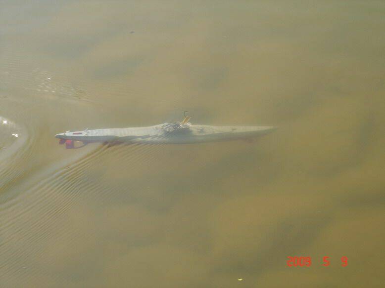 DSC00377.jpg
