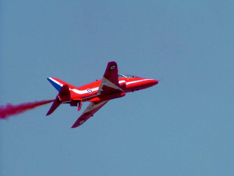 Hawk-1.jpg