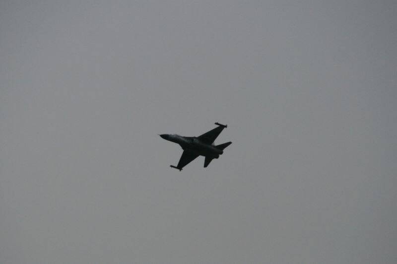 tn__MG_7790.JPG