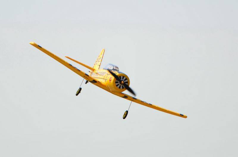 2012-02-05_055.JPG