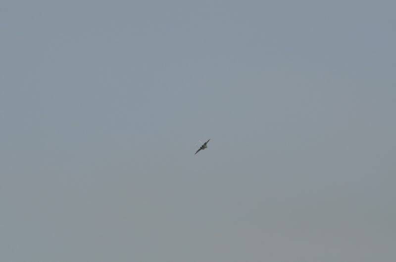 2012 094_調整大小.jpg