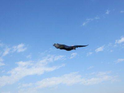 IMG_0076_調整大小.JPG