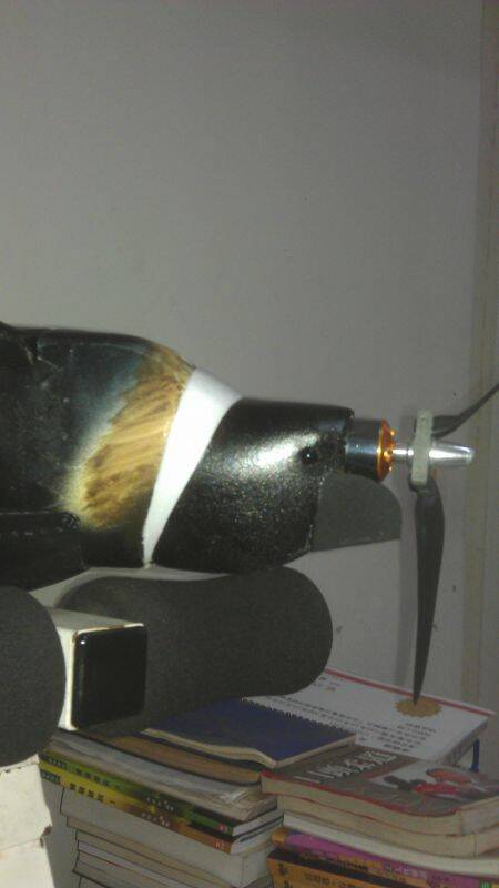 IMAG0482.jpg