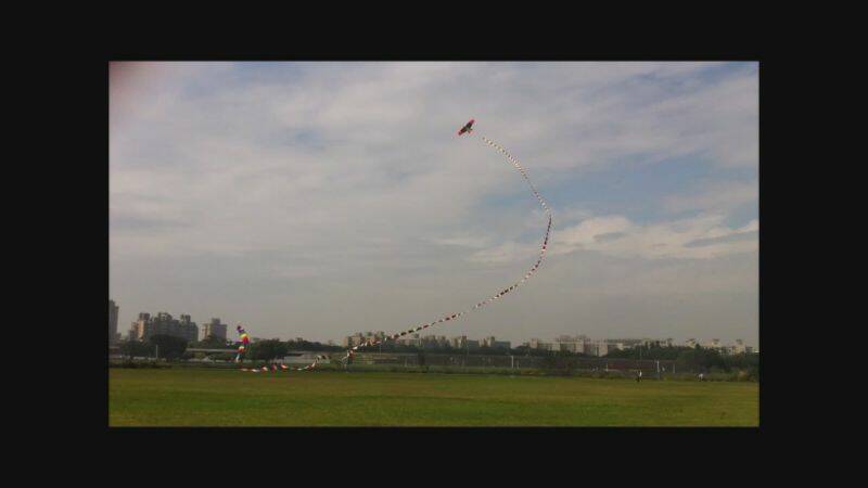 BigBird-30meters-6.JPG