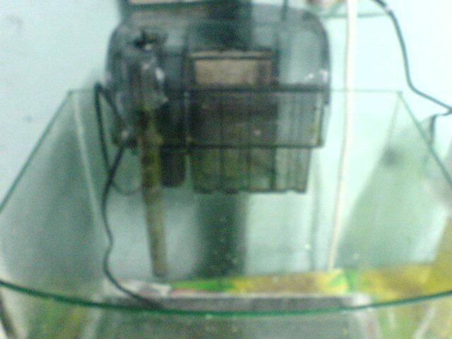 DSC00210.JPG