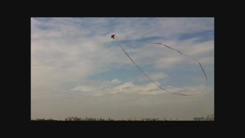 BigBird-30meters-2.JPG