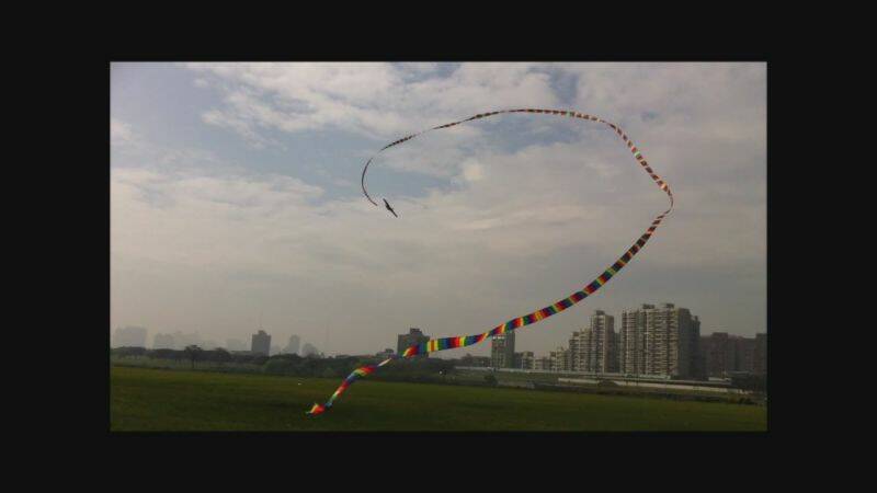 BigBird-30meters-5.JPG