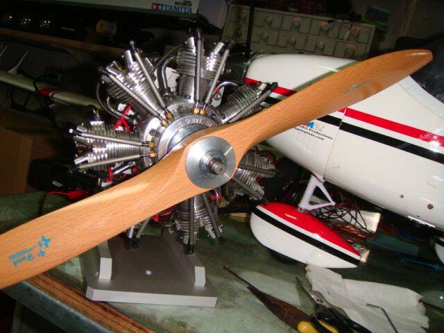 DSC07066.JPG
