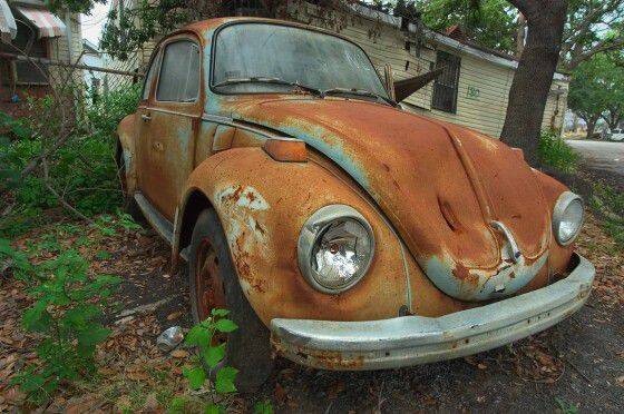 rusted-beetle-560x372.jpg