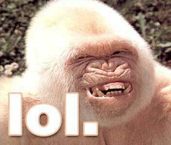 lol_gorilla.jpg
