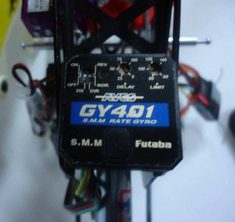 DSC01244.JPG