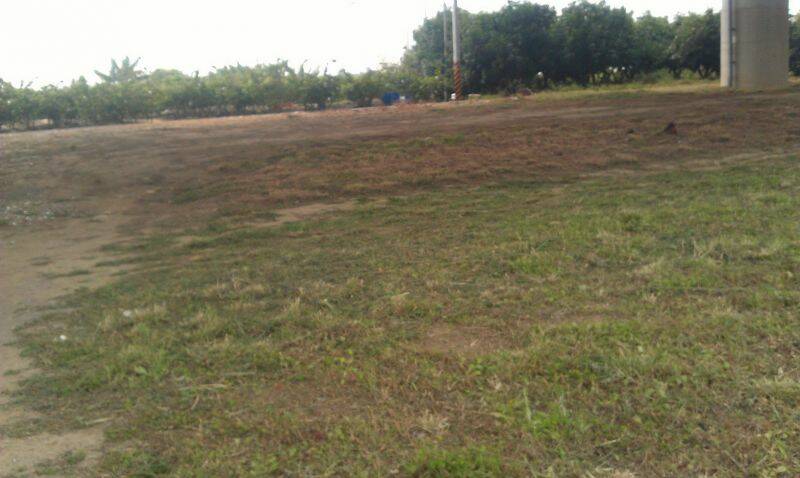 IMAG0154.jpg