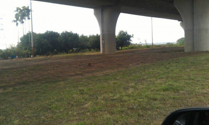 IMAG0155.jpg