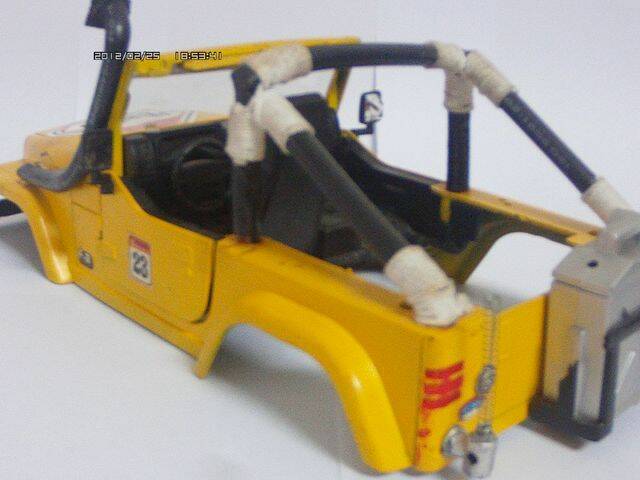 AMBA0026.JPG