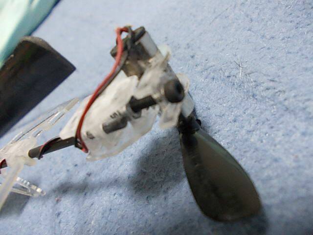 DSCN0954.JPG