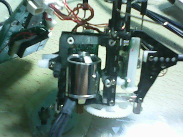IMG0189A.jpg